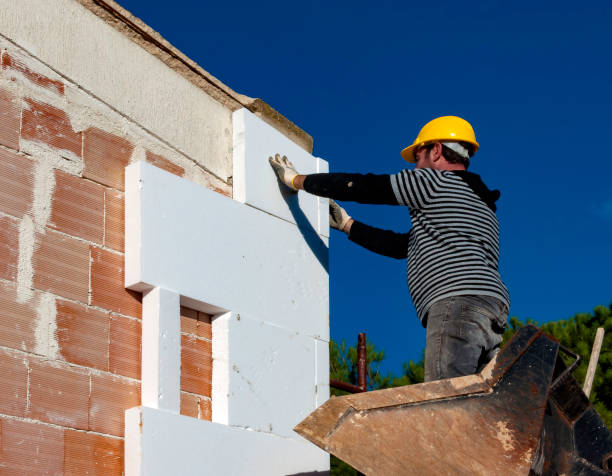 Best Wall Insulation Contractor  in Dodson Branch, TN