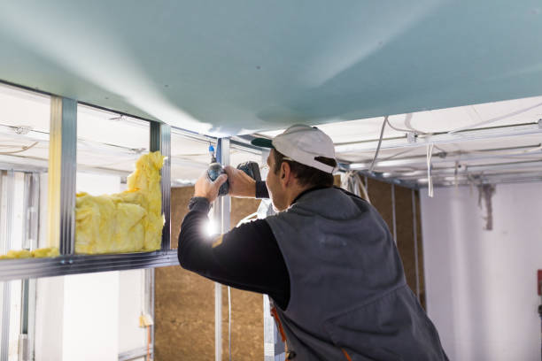 Best Professional Insulation Contractor  in Dodson Branch, TN
