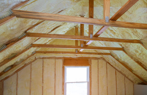 Best Fiberglass Insulation  in Dodson Branch, TN