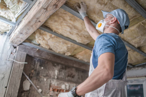 Best Insulation Contractors for Homes  in Dodson Branch, TN