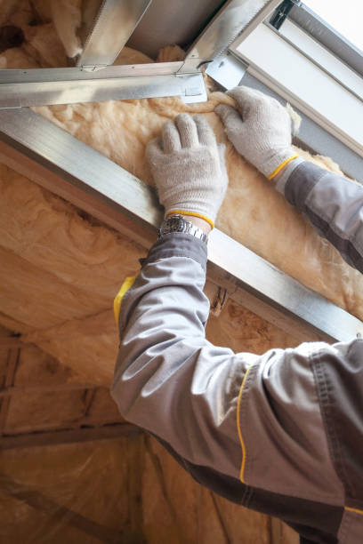 Best Insulation Contractor Near Me  in Dodson Branch, TN