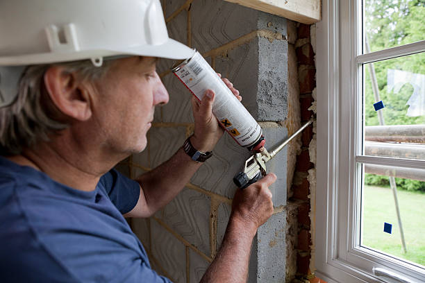 Best Blown-in Insulation  in Dodson Branch, TN