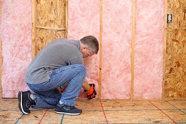 Best Local Insulation Services  in Dodson Branch, TN
