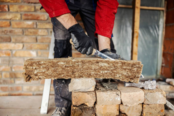 Best Local Insulation Services  in Dodson Branch, TN