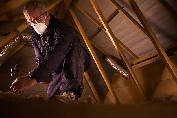 Best Energy-efficient Insulation  in Dodson Branch, TN